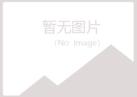 兰山区绿海会计有限公司